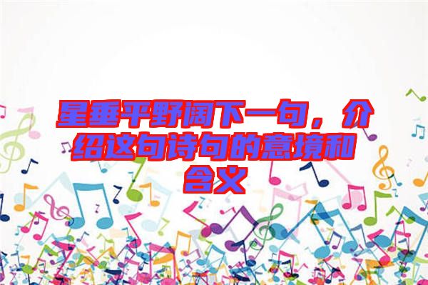 星垂平野闊下一句，介紹這句詩句的意境和含義