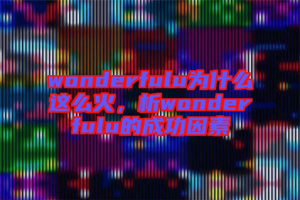 wonderfulu為什么這么火,析wonderfulu的成功因素