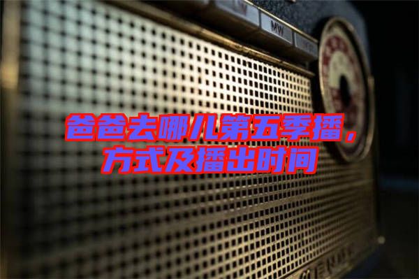 爸爸去哪兒第五季播,方式及播出時間