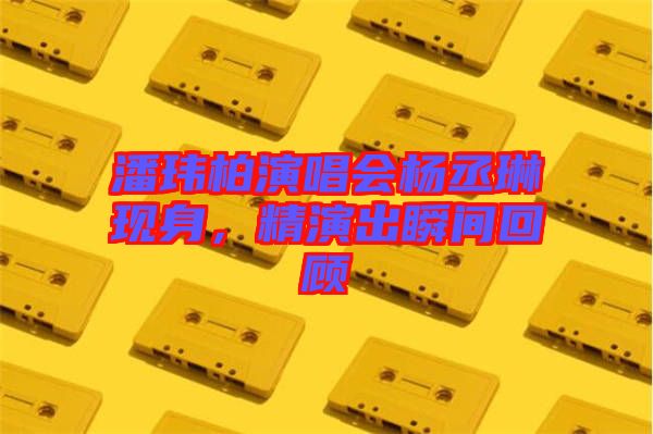 潘瑋柏演唱會楊丞琳現身，精演出瞬間回顧