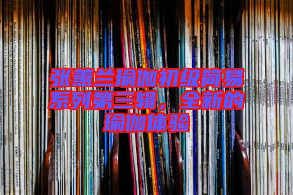 張蕙蘭瑜伽初級(jí)簡(jiǎn)易系列第三輯，全新的瑜伽體驗(yàn)