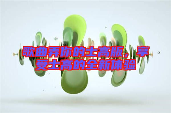 歌曲弄你的士高版,享受士高的全新體驗