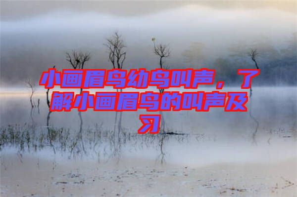 小畫(huà)眉鳥(niǎo)幼鳥(niǎo)叫聲,了解小畫(huà)眉鳥(niǎo)的叫聲及習(xí)