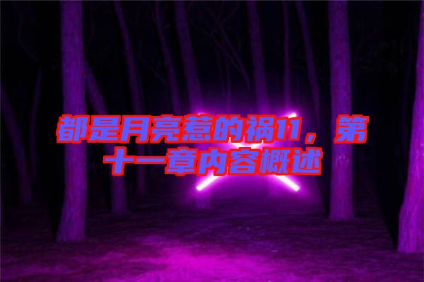 都是月亮惹的禍11,第十一章內容概述