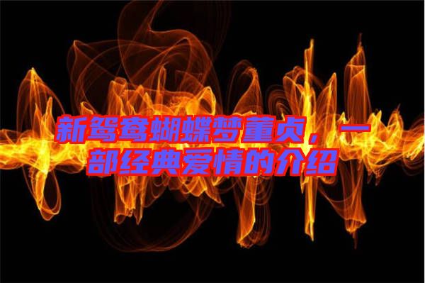 新鴛鴦蝴蝶夢董貞,一部經典愛情的介紹