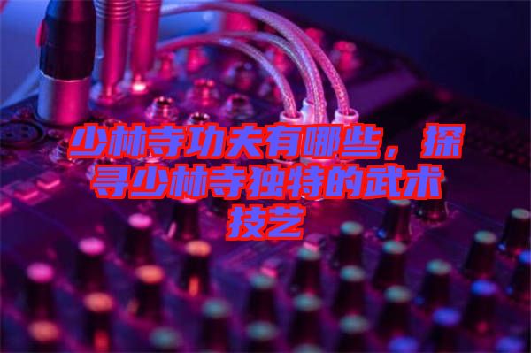 少林寺功夫有哪些,探尋少林寺獨特的武術技藝