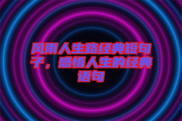 風雨人生路經典短句子,感悟人生的經典語句
