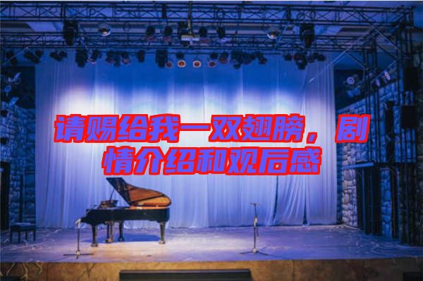 請賜給我一雙翅膀,劇情介紹和觀后感