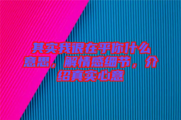 其實(shí)我很在乎你什么意思，解情感細(xì)節(jié)，介紹真實(shí)心意