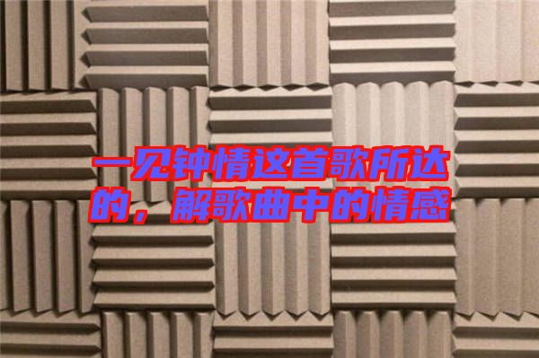 一見(jiàn)鐘情這首歌所達(dá)的，解歌曲中的情感