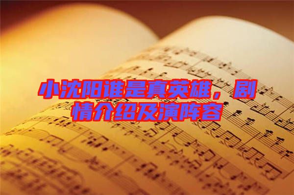 小沈陽誰是真英雄，劇情介紹及演陣容