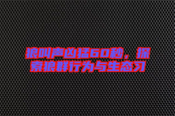 狼叫聲兇猛60秒，探索狼群行為與生態習