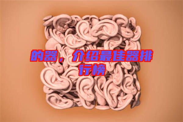 的器,介紹最佳器排行榜