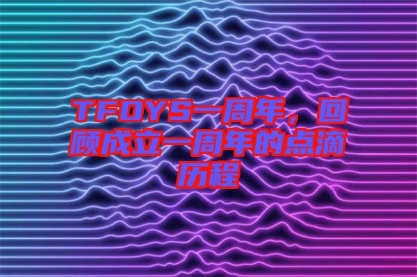 TFOYS一周年,回顧成立一周年的點(diǎn)滴歷程