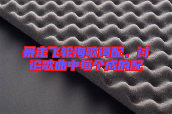 暴走飛輪海歌詞配,討論歌曲中每個成的配