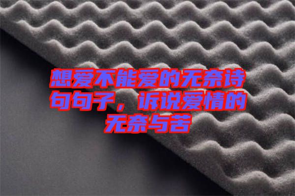 想愛不能愛的無奈詩句句子,訴說愛情的無奈與苦