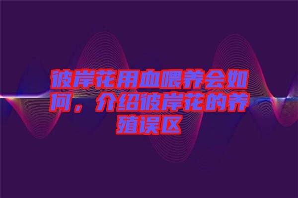 彼岸花用血喂養會如何，介紹彼岸花的養殖誤區