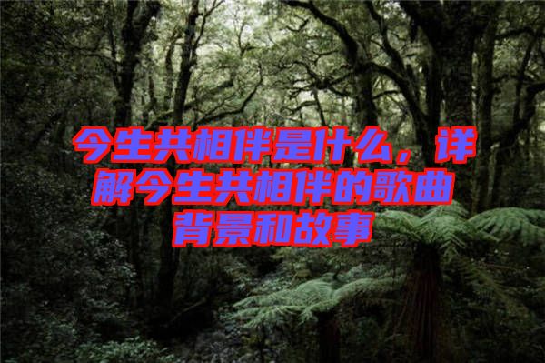 今生共相伴是什么,詳解今生共相伴的歌曲背景和故事