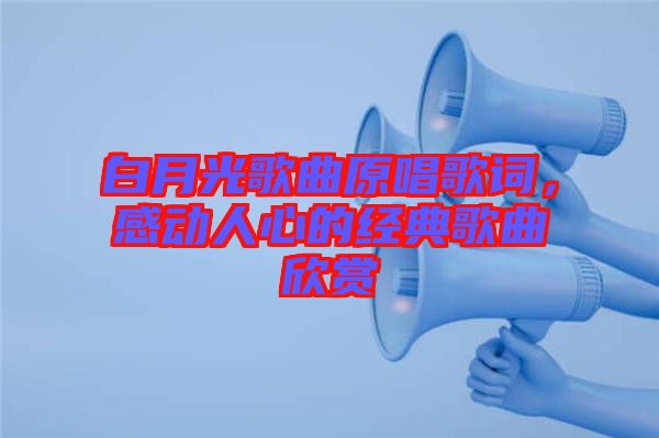 白月光歌曲原唱歌詞,感動(dòng)人心的經(jīng)典歌曲欣賞
