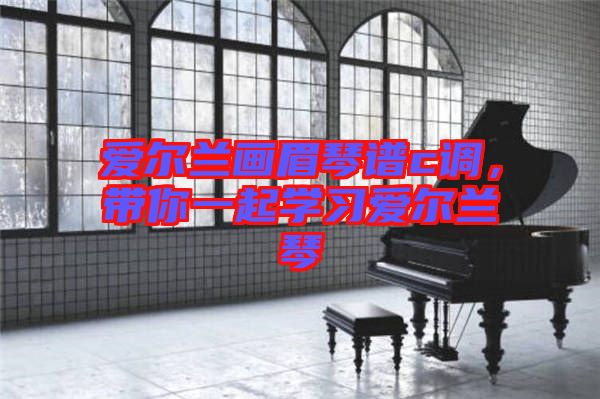 愛爾蘭畫眉琴譜c調,帶你一起學習愛爾蘭琴