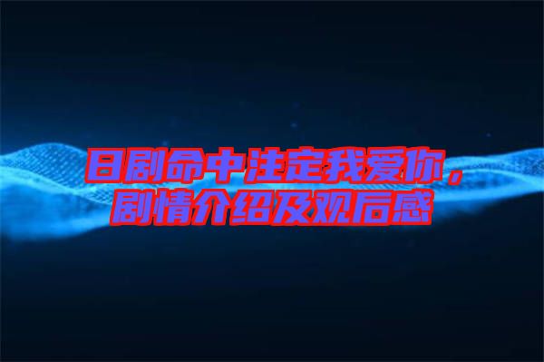 日劇命中注定我愛你,劇情介紹及觀后感