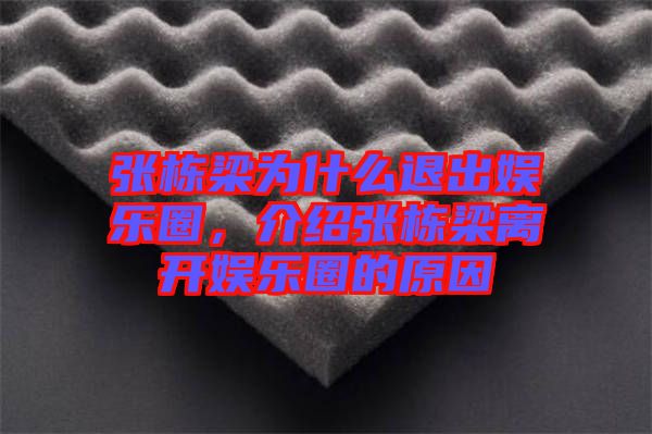 張棟梁為什么退出娛樂圈,介紹張棟梁離開娛樂圈的原因