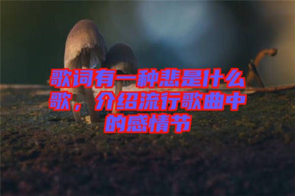 歌詞有一種悲是什么歌，介紹流行歌曲中的感情節