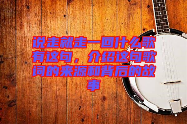 說走就走一回什么歌有這句，介紹這句歌詞的來源和背后的故事