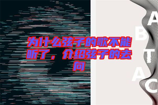 為什么弦子的歌不能聽了,介紹弦子的去向