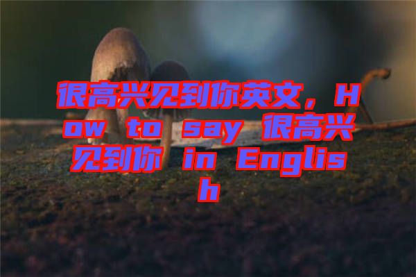 很高興見到你英文，How to say 很高興見到你 in English