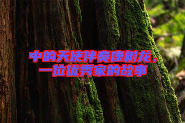 中的天使伴奏康樹龍,一位優秀家的故事