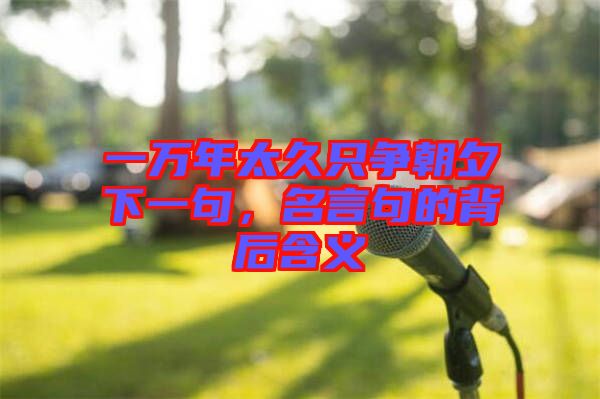 一萬年太久只爭朝夕下一句,名言句的背后含義