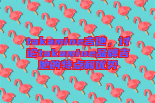 takamine吉他,討論takamine品牌吉他的特點和優勢