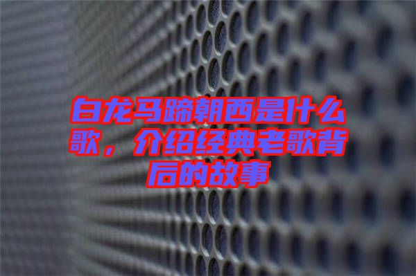 白龍馬蹄朝西是什么歌，介紹經(jīng)典老歌背后的故事