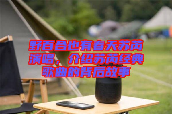 野百合也有春天蘇芮演唱,介紹蘇芮經(jīng)典歌曲的背后故事