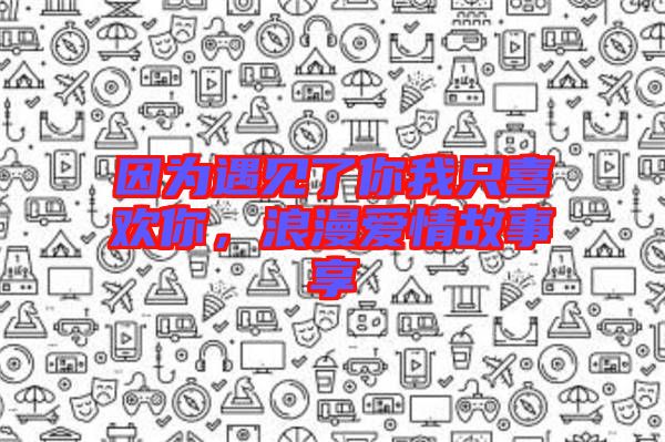 因為遇見了你我只喜歡你，浪漫愛情故事享