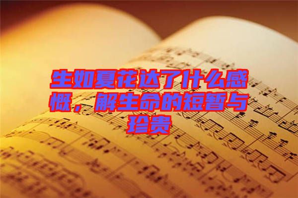 生如夏花達了什么感慨,解生命的短暫與珍貴