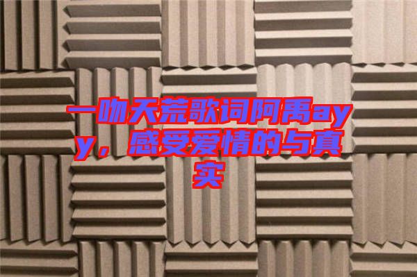 一吻天荒歌詞阿禹ayy,感受愛情的與真實