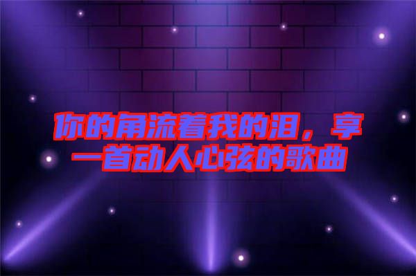 你的角流著我的淚，享一首動人心弦的歌曲