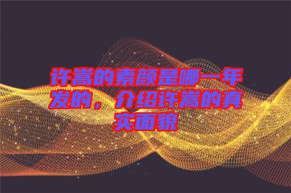 許嵩的素顏是哪一年發的,介紹許嵩的真實面貌