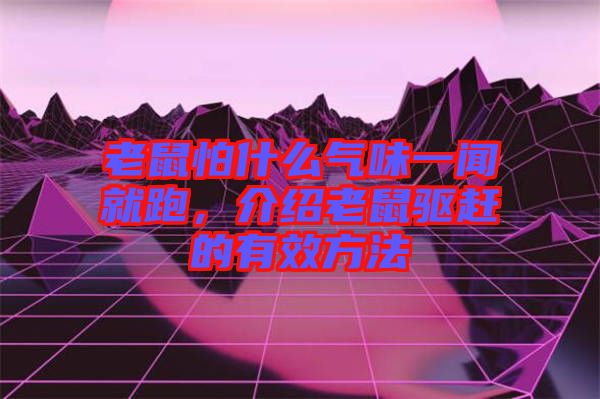 老鼠怕什么氣味一聞就跑,介紹老鼠驅(qū)趕的有效方法
