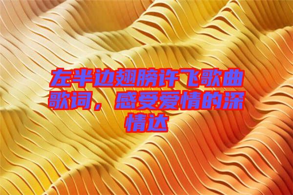 左半邊翅膀許飛歌曲歌詞,感受愛情的深情達