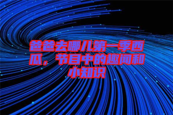 爸爸去哪兒第一季西瓜,節(jié)目中的趣聞和小知識