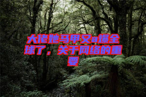 大佬她馬甲又a爆全球了,關于網絡的重要