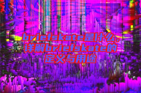 briefskate是什么,詳解briefskate的定義與用途