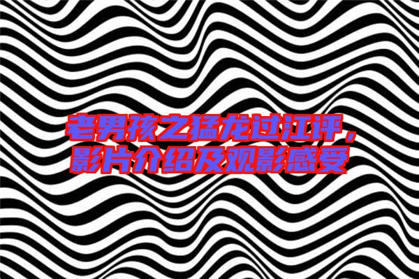 老男孩之猛龍過江評(píng),影片介紹及觀影感受