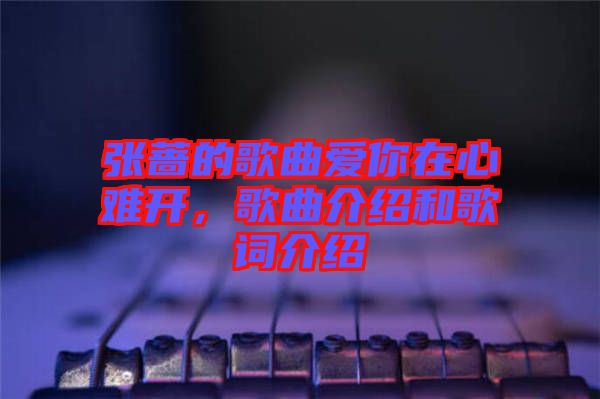 張薔的歌曲愛(ài)你在心難開(kāi),歌曲介紹和歌詞介紹
