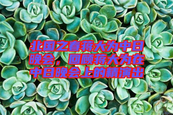 北國之春蔣大為中日晚會,回顧蔣大為在中日晚會上的精演出