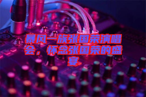 暴風一族張國榮演唱會,懷念張國榮的盛宴