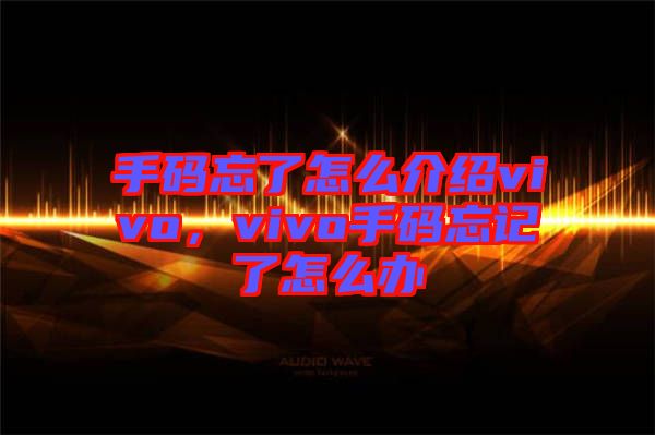 手碼忘了怎么介紹vivo,vivo手碼忘記了怎么辦